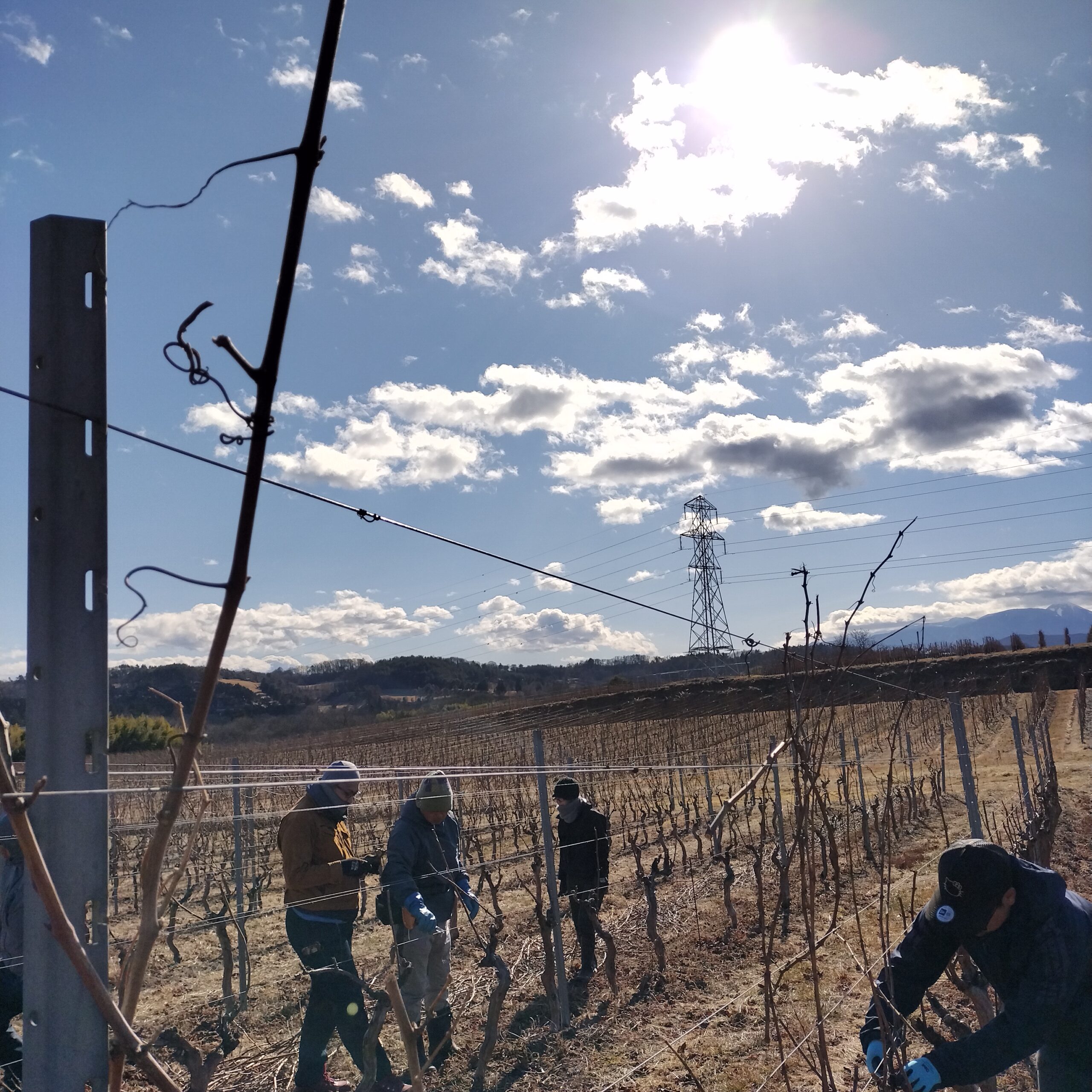 リズムスタッフblog（2026_02）：新しい芽